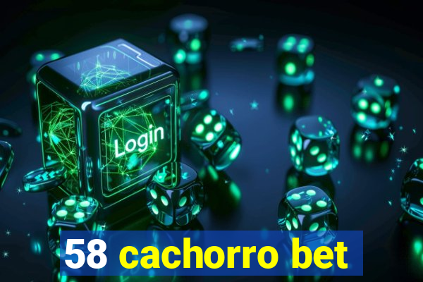 58 cachorro bet