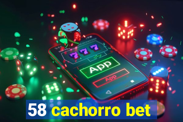 58 cachorro bet