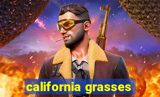 california grasses