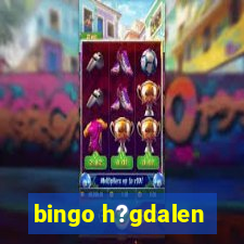 bingo h?gdalen