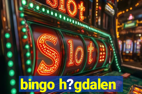 bingo h?gdalen