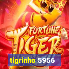 tigrinho 5956