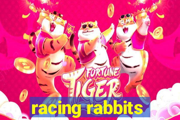 racing rabbits