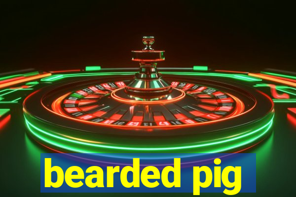 bearded pig