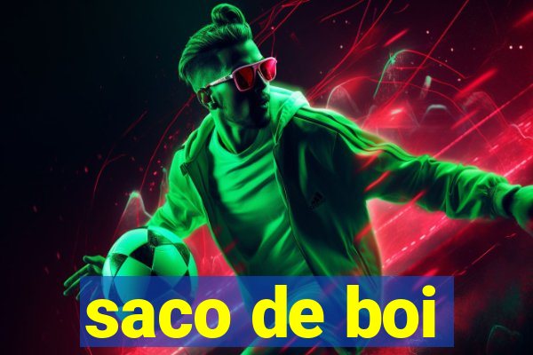 saco de boi