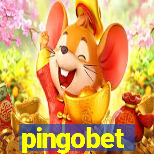 pingobet