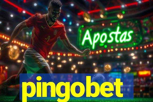 pingobet