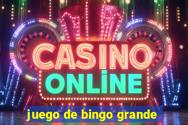 juego de bingo grande