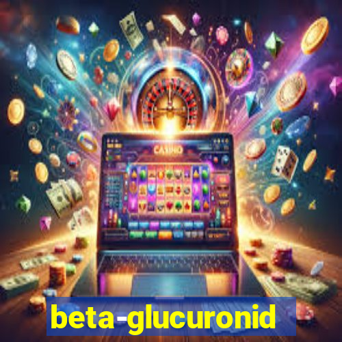 beta-glucuronidasi