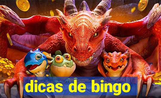 dicas de bingo