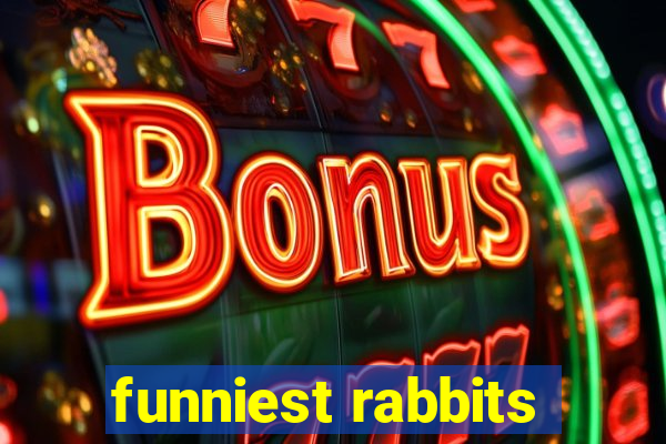 funniest rabbits