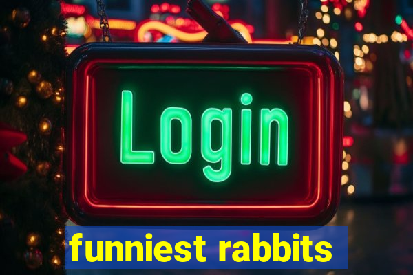 funniest rabbits