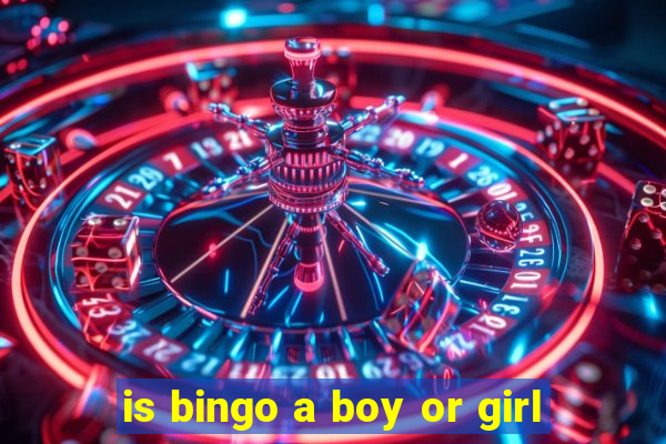 is bingo a boy or girl