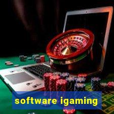 software igaming