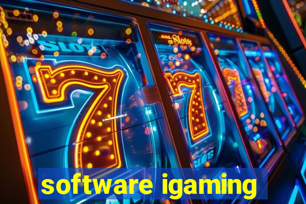 software igaming