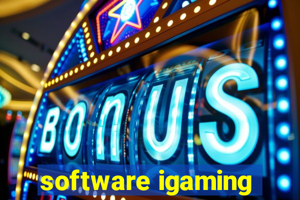 software igaming