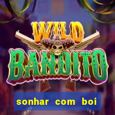 sonhar com boi branco jogo do bicho