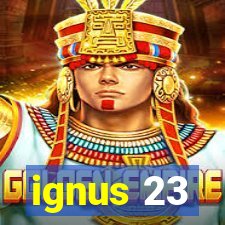 ignus 23