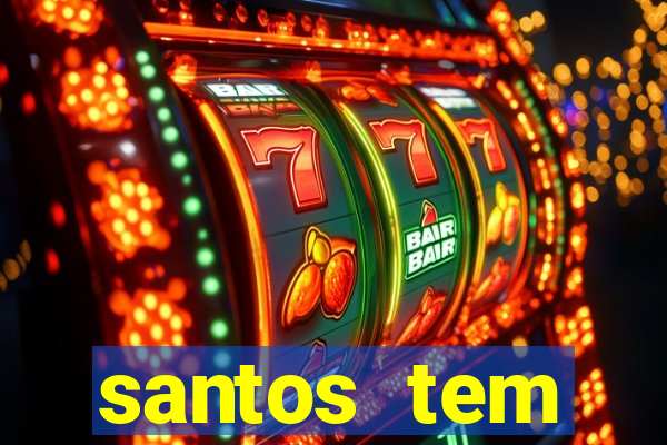 santos tem aeroporto comercial