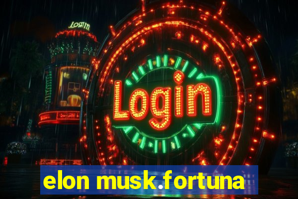 elon musk.fortuna