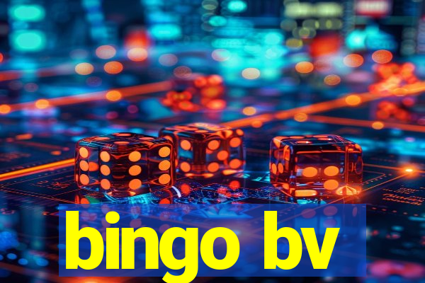 bingo bv