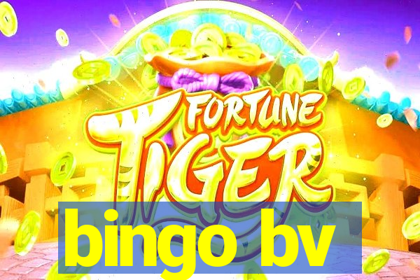 bingo bv