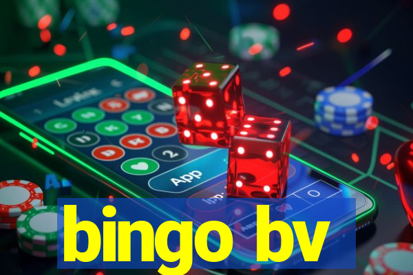 bingo bv