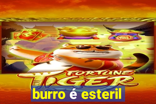 burro é esteril