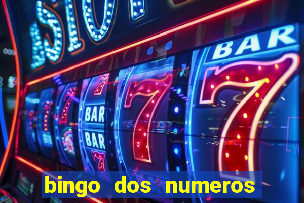 bingo dos numeros de 1 a 30