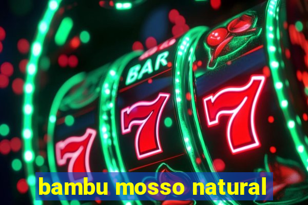 bambu mosso natural