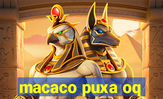 macaco puxa oq