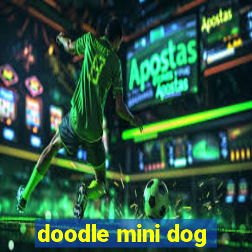 doodle mini dog