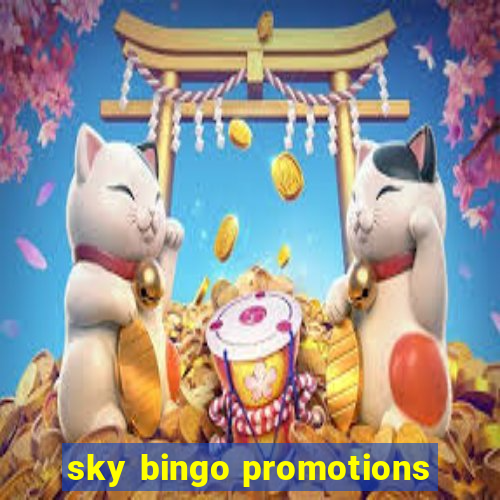 sky bingo promotions