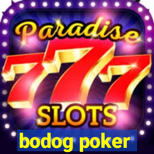 bodog poker