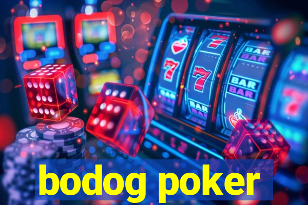 bodog poker