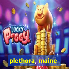 plethora, maine