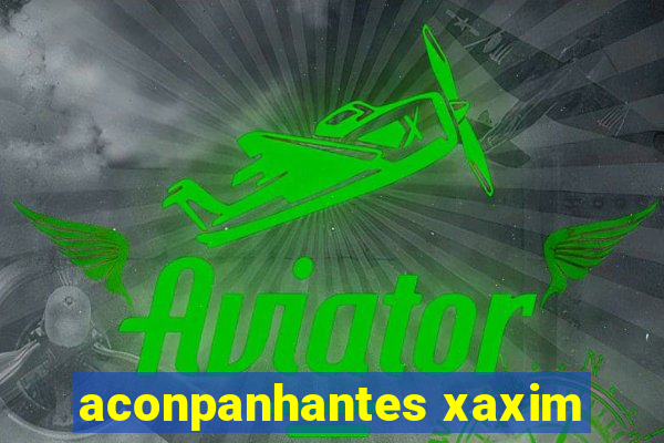 aconpanhantes xaxim