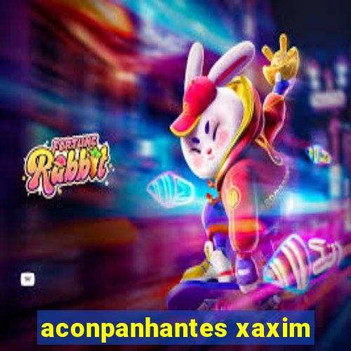 aconpanhantes xaxim