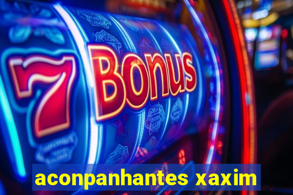 aconpanhantes xaxim