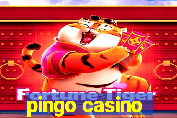 pingo casino