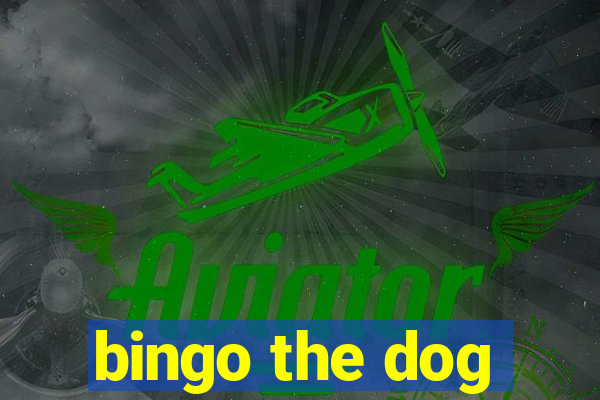 bingo the dog