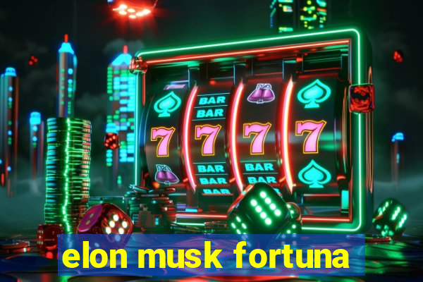 elon musk fortuna