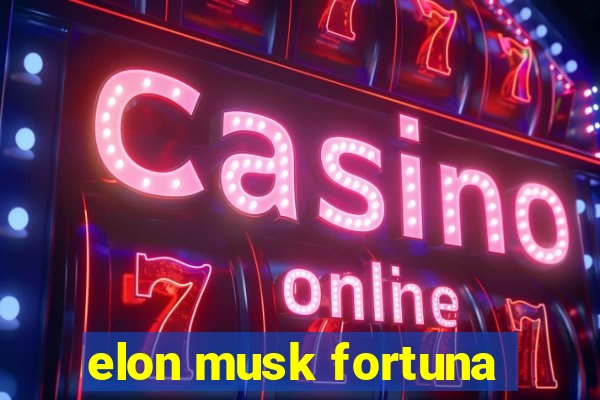 elon musk fortuna