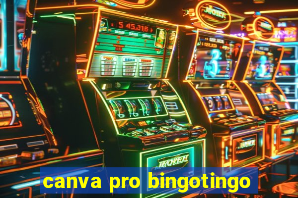 canva pro bingotingo