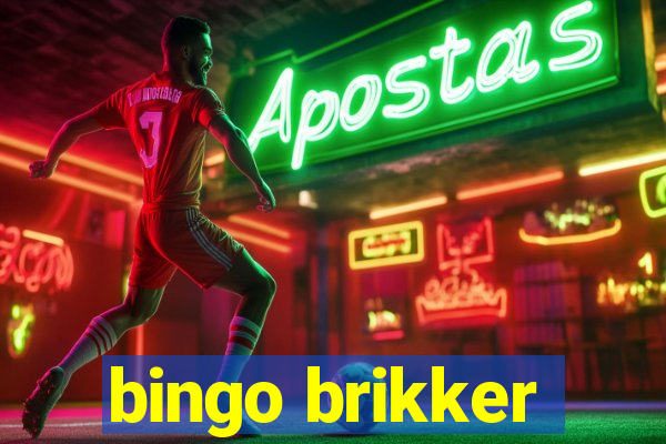 bingo brikker