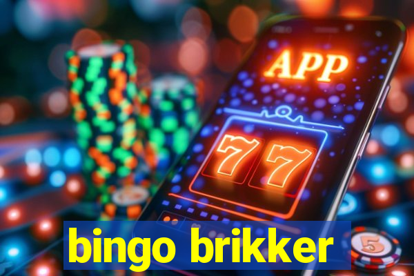 bingo brikker