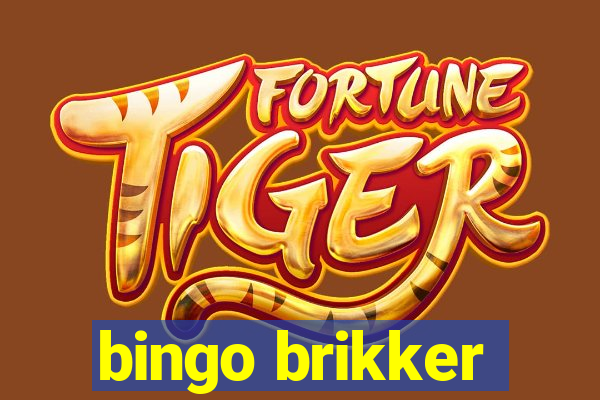 bingo brikker