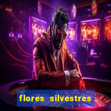 flores silvestres desbravadores desbravadores 25