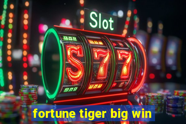 fortune tiger big win