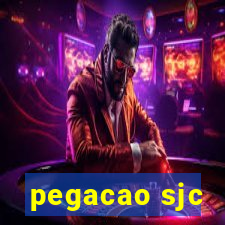 pegacao sjc